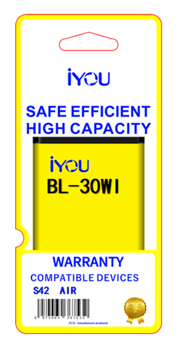 BATTERY BL-30WI